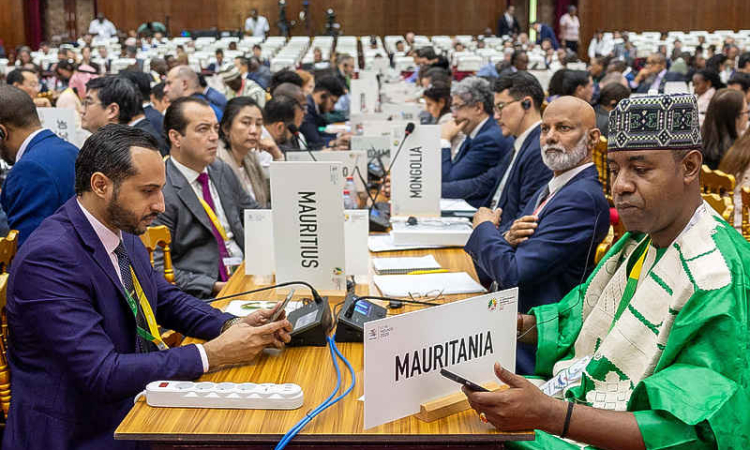 WTO talks end in deadlock after Brazil  blocks a deal over e-commerce duties